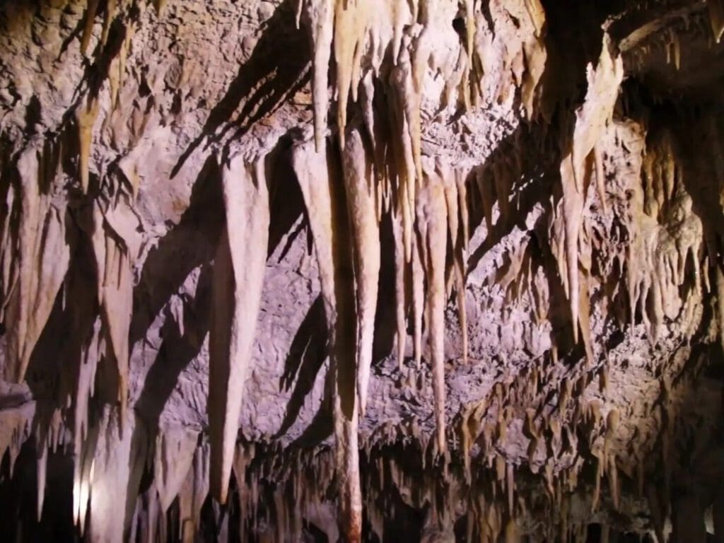 How to Experience the Barra Honda Caverns Magic 2 Barra Honda Caverns Stalactites Stalagmites