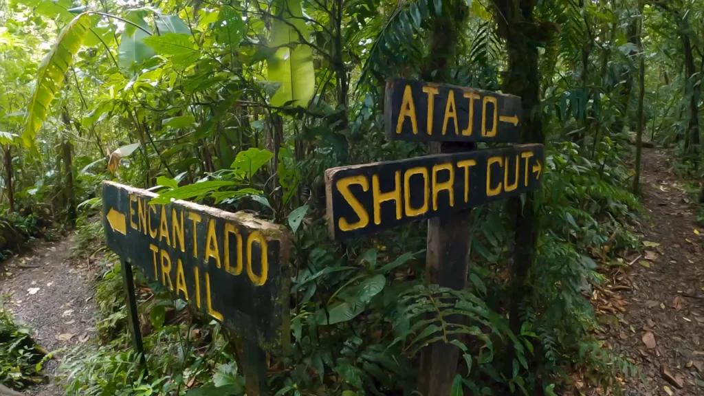 How to Explore the Costa Rica Monteverde Hidden Cloud Forest 2 Costa Rica Monteverde Navigating the Forest