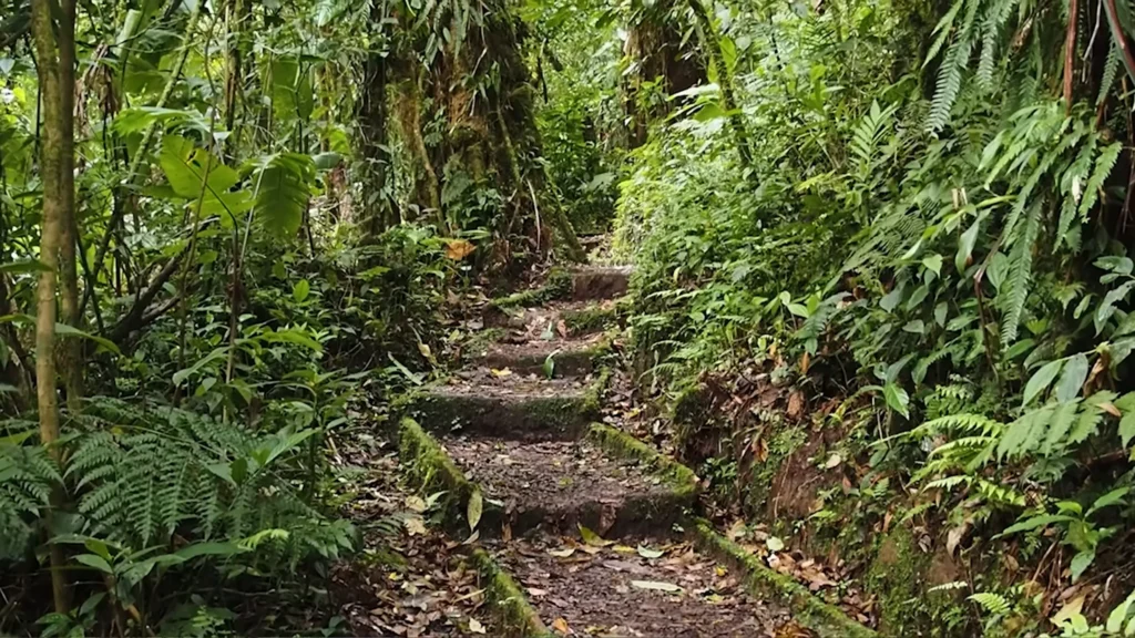 How to Explore the Costa Rica Monteverde Hidden Cloud Forest 3 Costa Rica Monteverde Optimal Exploration Experience