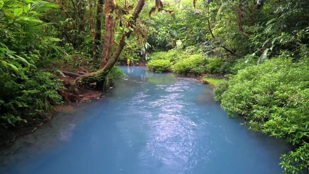 Rio Celeste Costa Rica: The Ultimate Guide 1 Rio Celeste Costa Rica Blue River