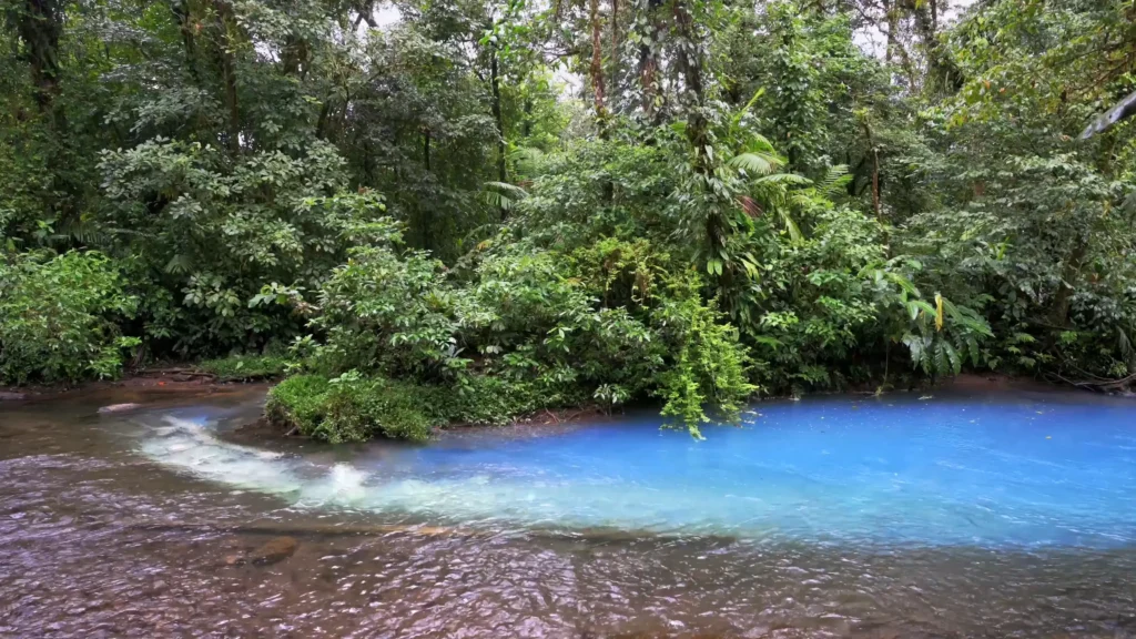 Rio Celeste Costa Rica: The Ultimate Guide 3 Rio Celeste Costa Rica - Blue Waters from Tenorio Volcano