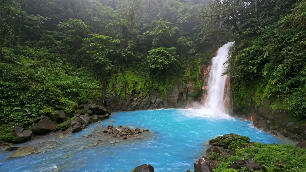 Exploring The Wonders of Costa Rica: From Jungles to Turtles 2 celeste river blue waters