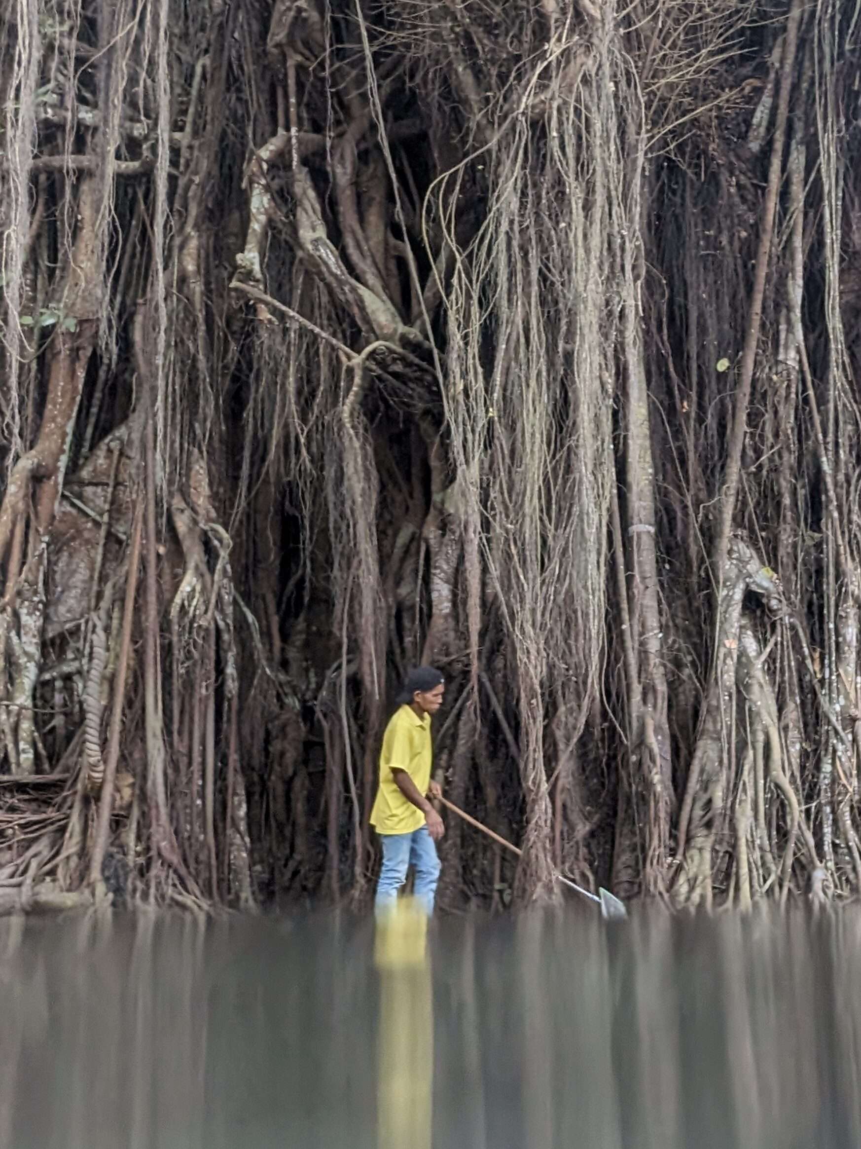 The Century Old Enchanted Balete Tree In Mystical Siquijor 6 Worker maintaining the Balete tree and fish spa.